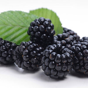 Blackberry TFA