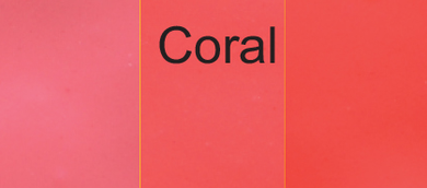 Color Coral Colorisma