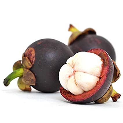 Mangosteen FA