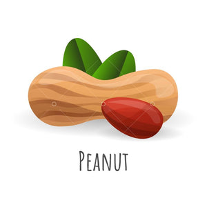 Peanut FA